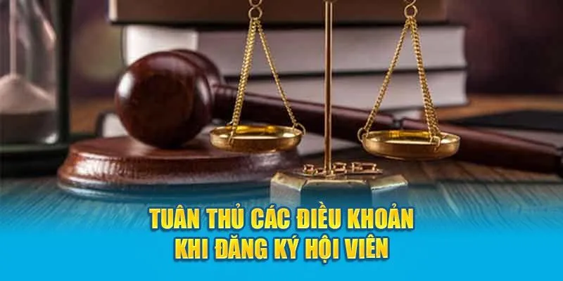 Điều kiện tiên quyết đối với người đăng ký
